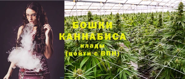 крисы Нефтекумск